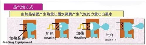 fctghf (2)