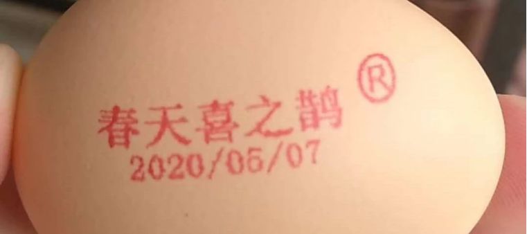 printer6
